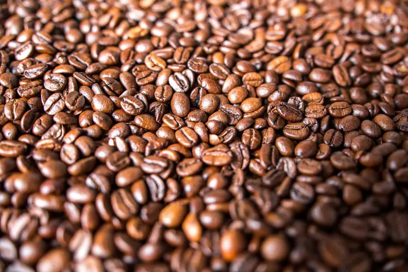 Granos de café recién tostados